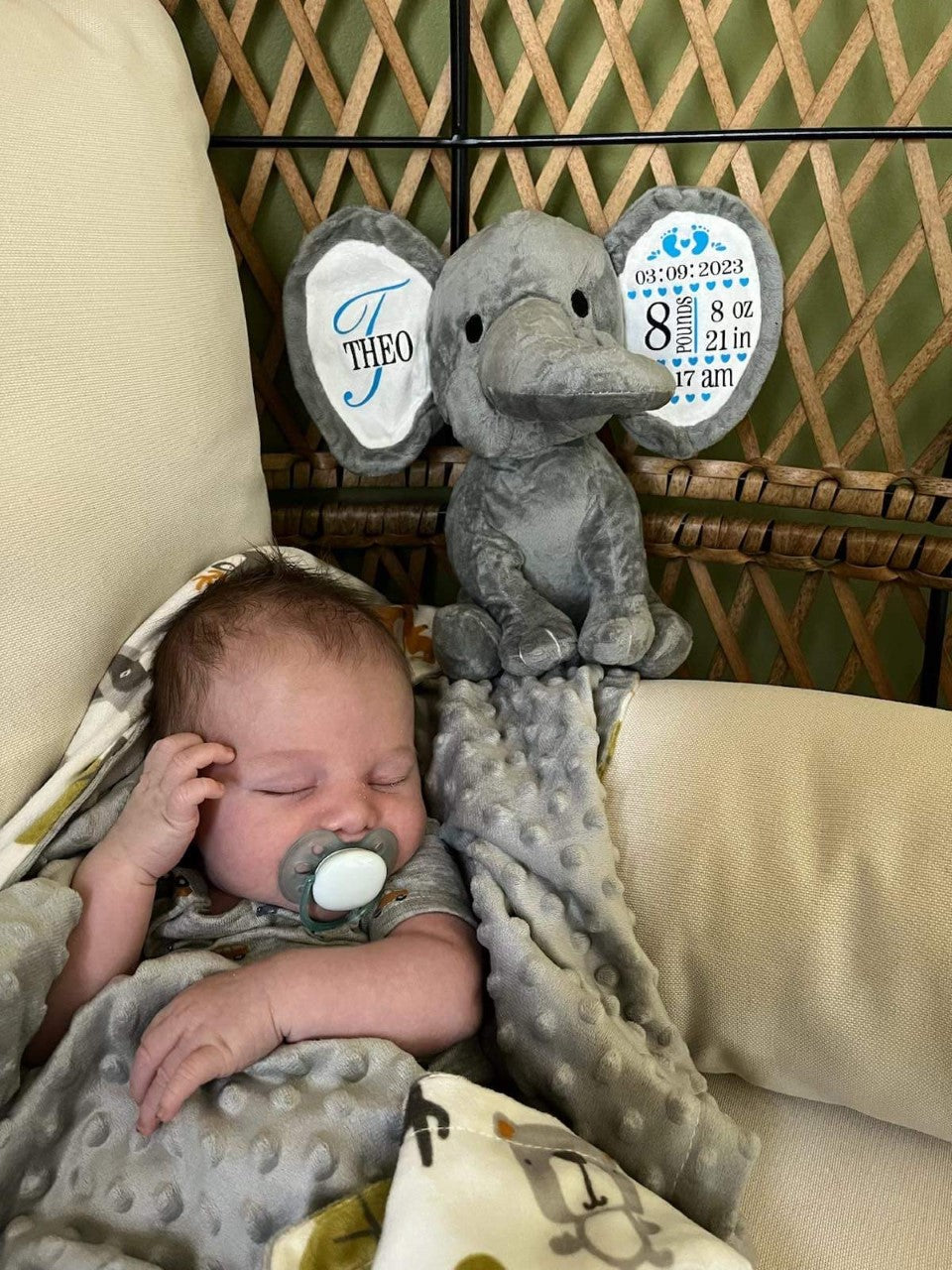 Personalized Birth Stat Elephant